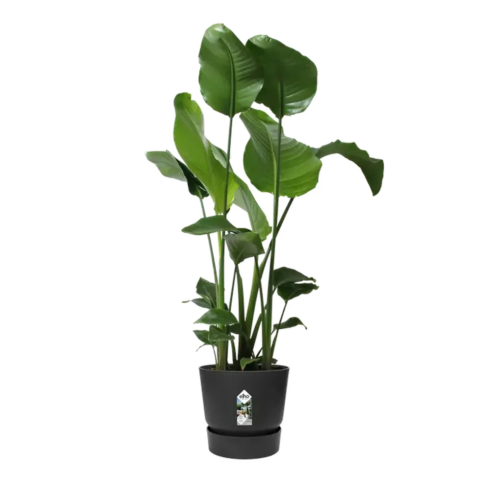 Greenville Round 40 cm Living Black