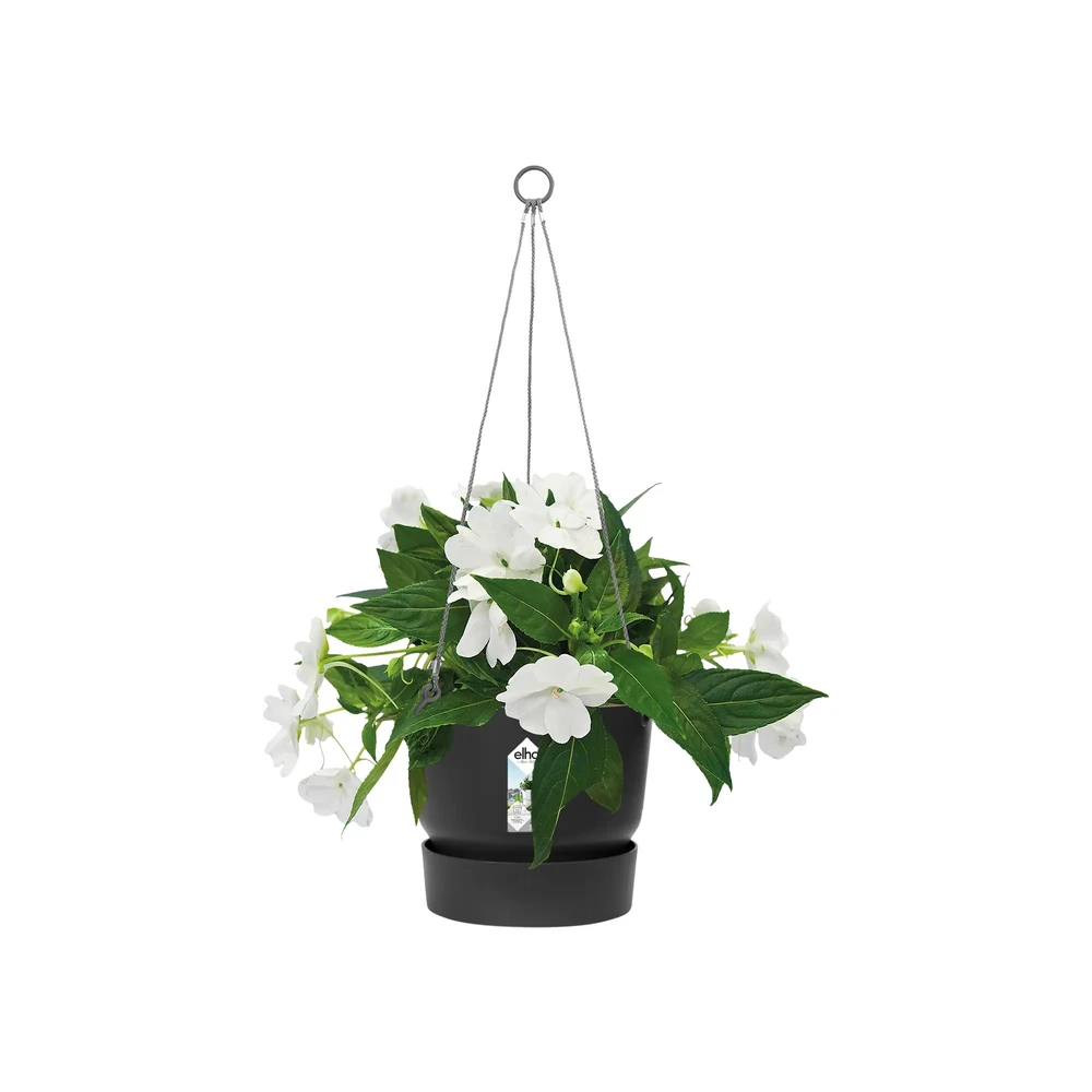Greenville Hanging Basket 24 cm Living Black