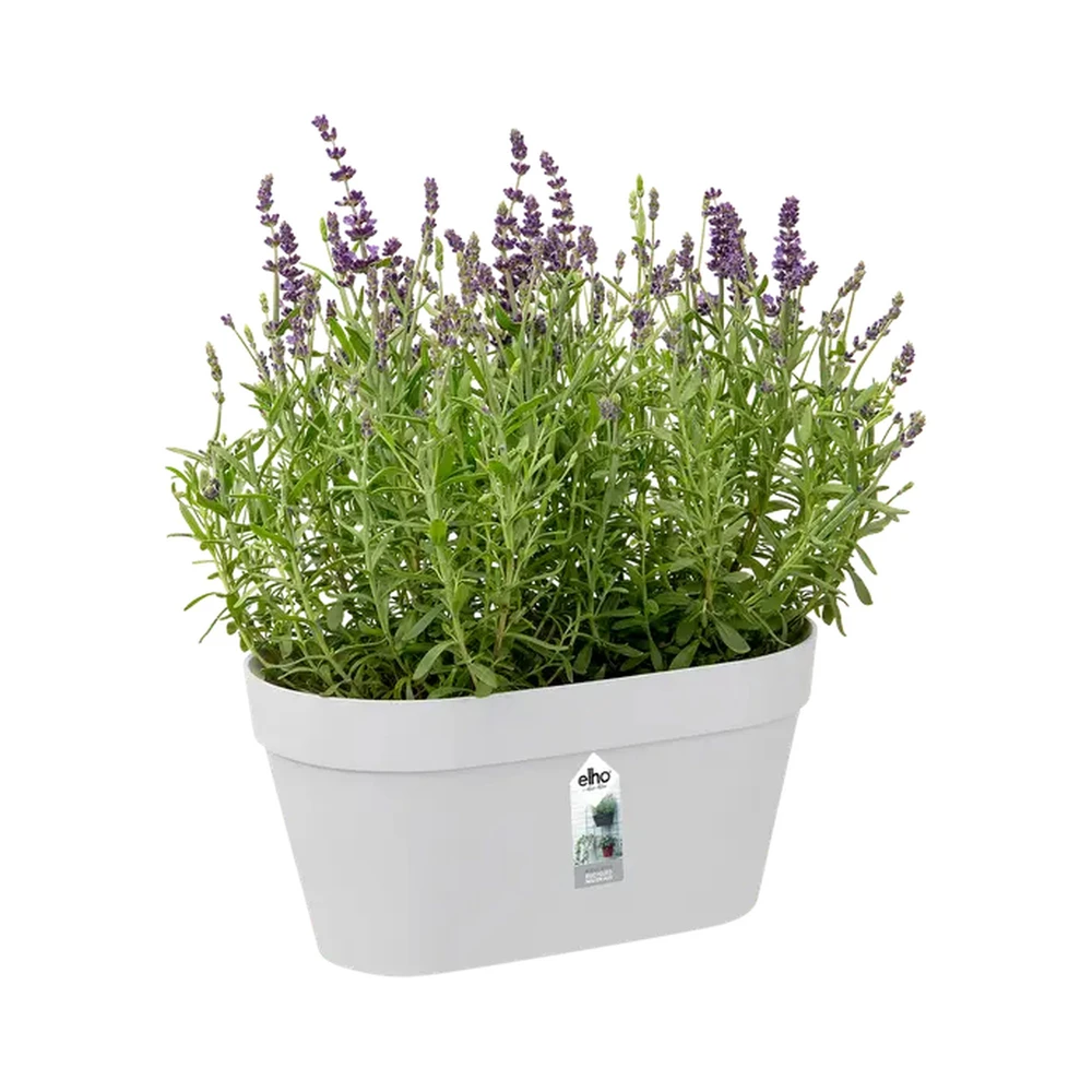 Loft Urban Green Wall Duo 28 cm White
