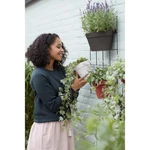 Loft Urban Green Wall Single 15 cm Anthracite