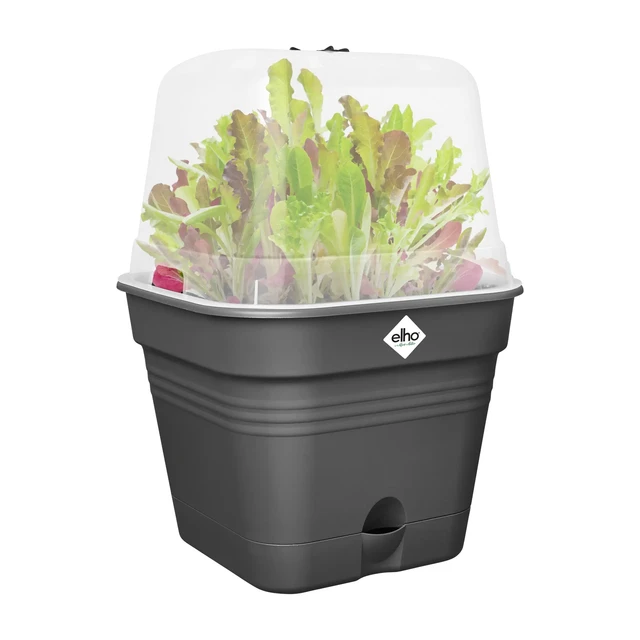 Green Basics Growpot Square Allin1 25 cm Living Black