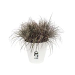 Loft Urban Round 25 cm White