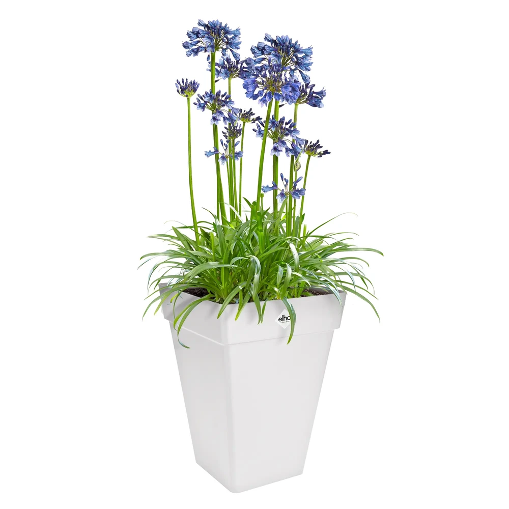 Loft Urban Square High 30 cm White