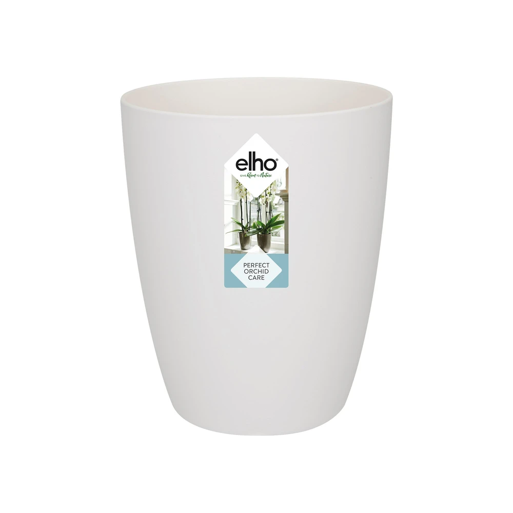 Brussels Orchid High 12,5 cm White
