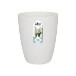 Brussels Orchid High 12,5 cm White