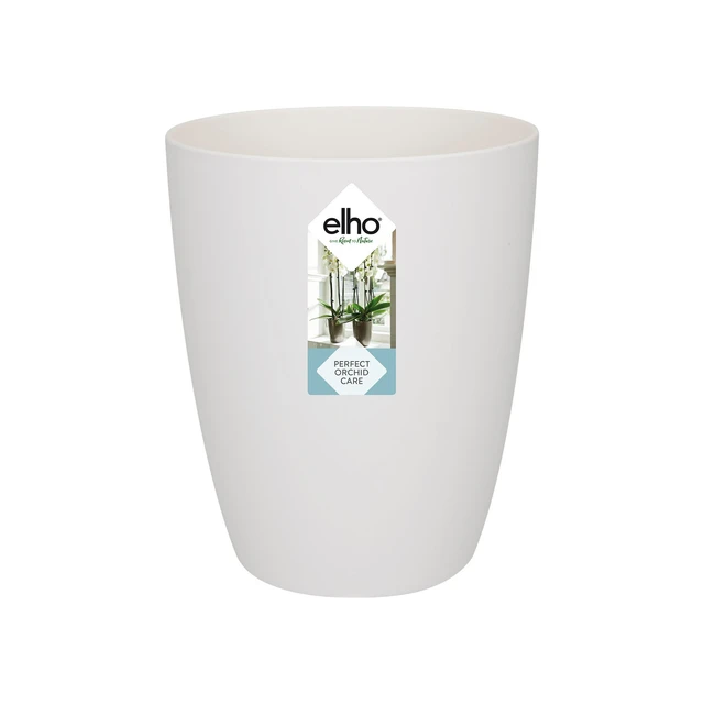 Brussels Orchid High 12,5 cm White