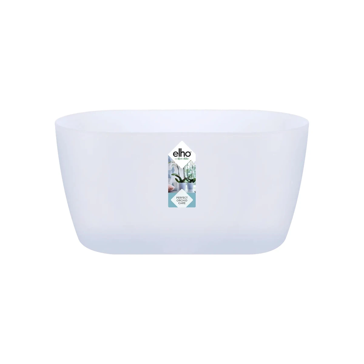 Brussels Orchid Duo 25 cm - Transparent 
