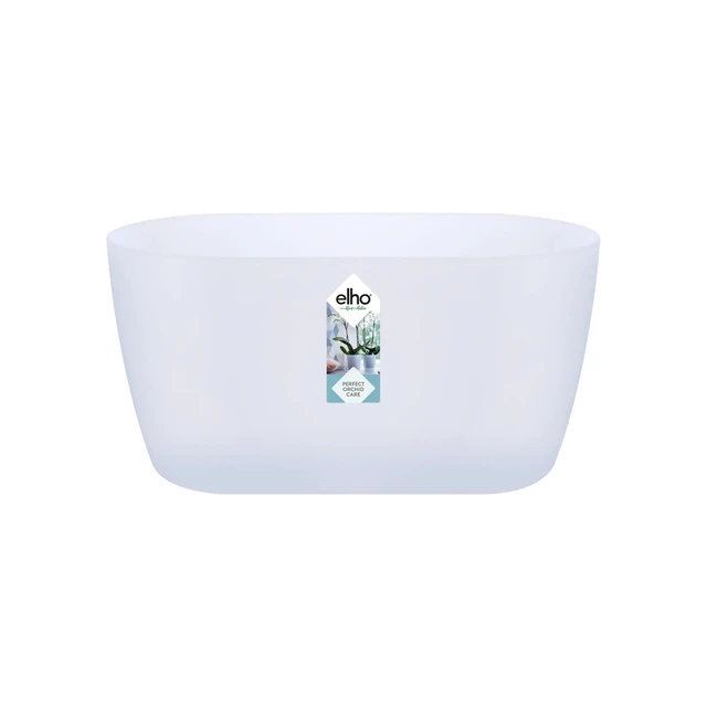 Brussels Orchid Duo 25 cm Transparent