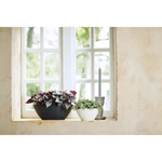 Brussels Oval 20 cm Anthracite