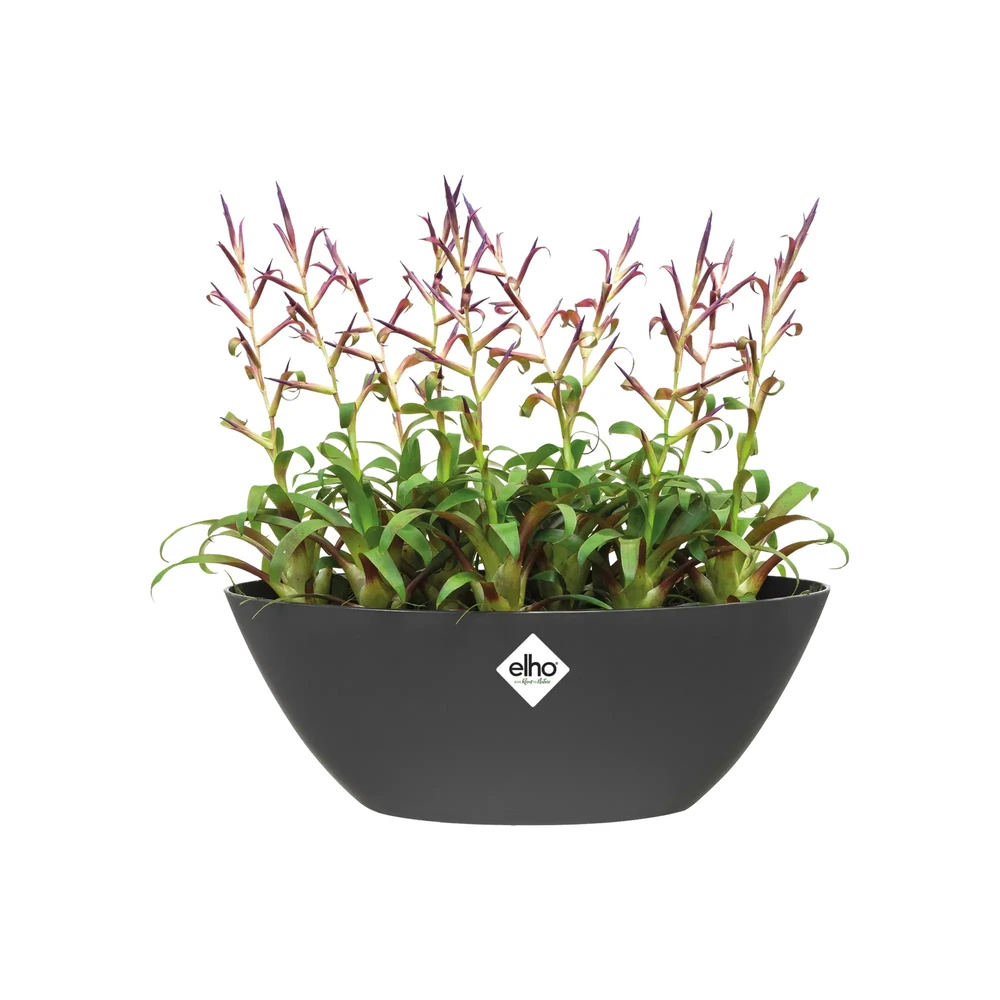 Brussels Oval 20 cm Anthracite