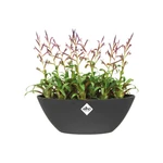 Brussels Oval 20 cm Anthracite