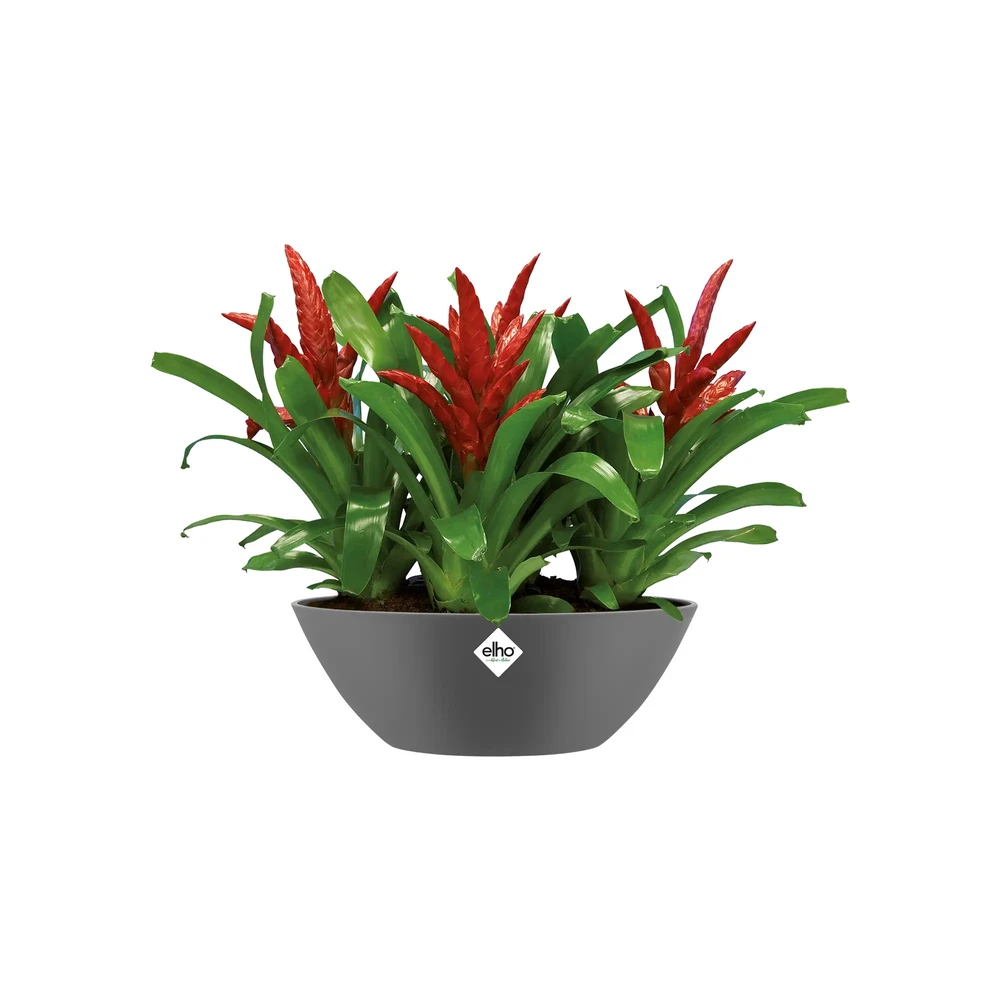 Brussels Oval 20 cm Anthracite