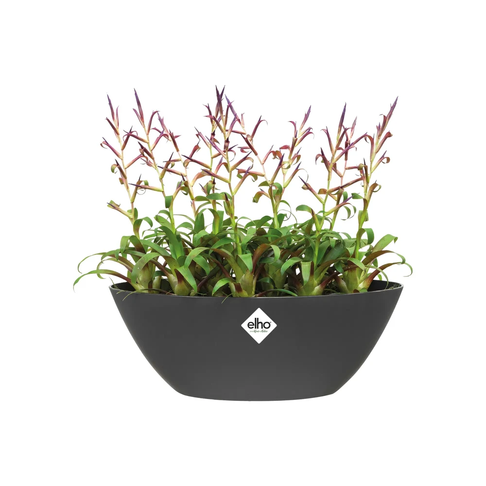 Brussels Oval 36 cm Anthracite
