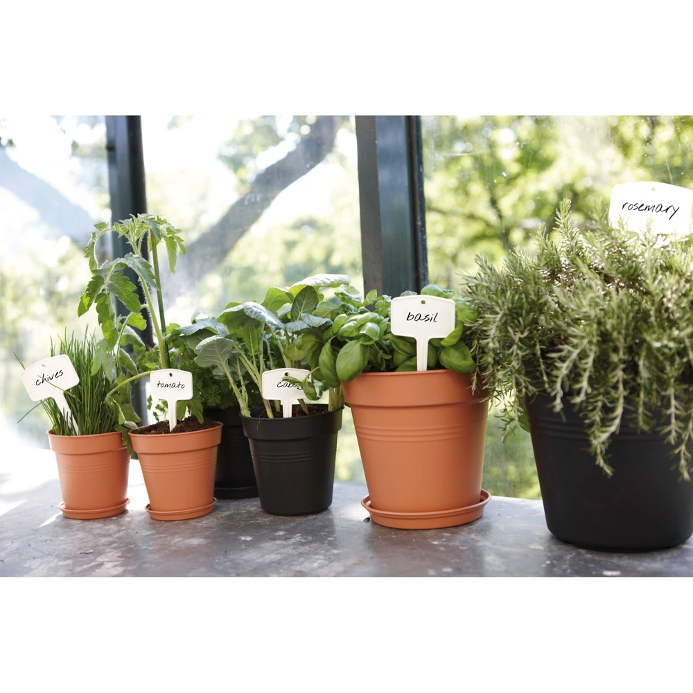 Plato Green Basics 17 cm Living Black