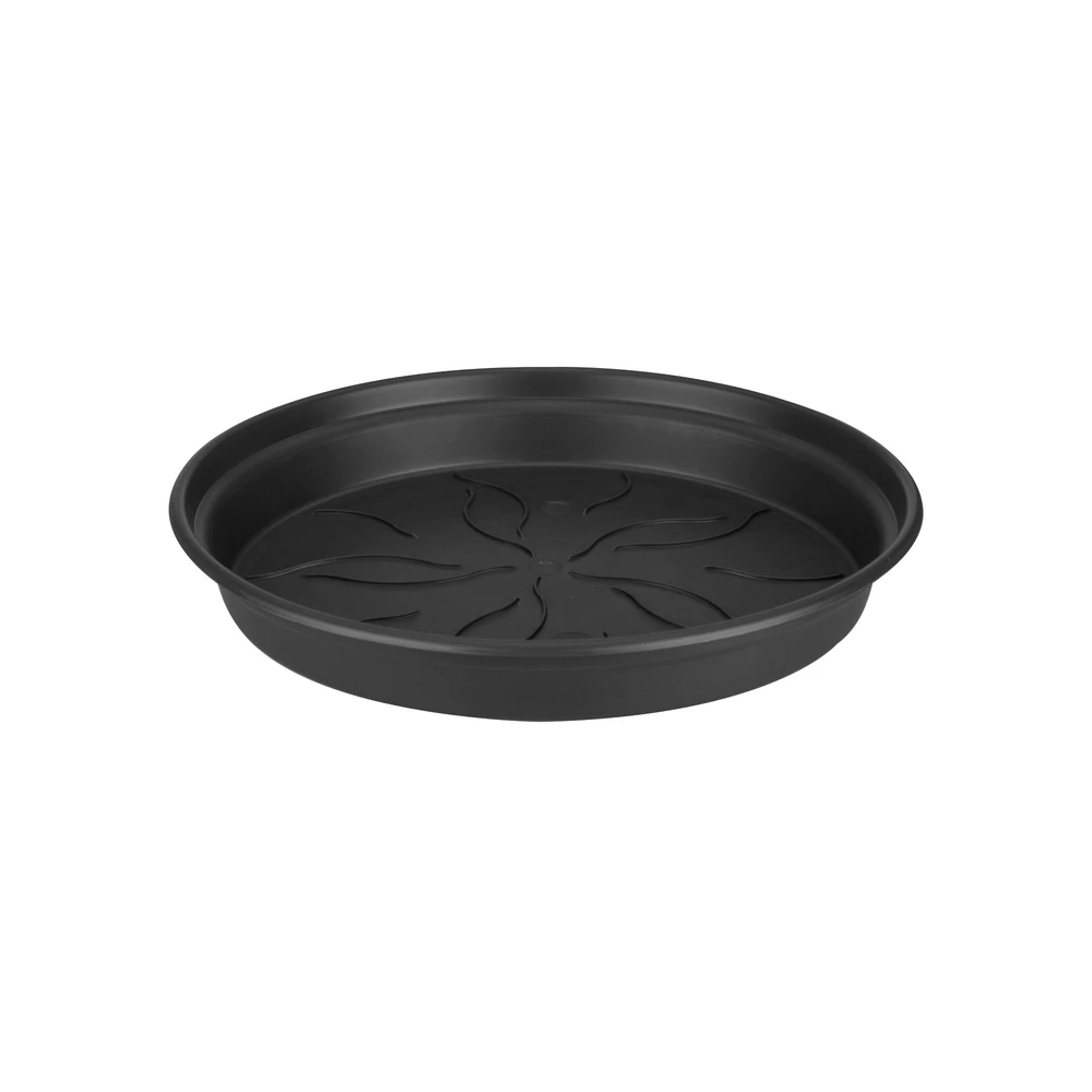 Plato Green Basics 17 cm Living Black