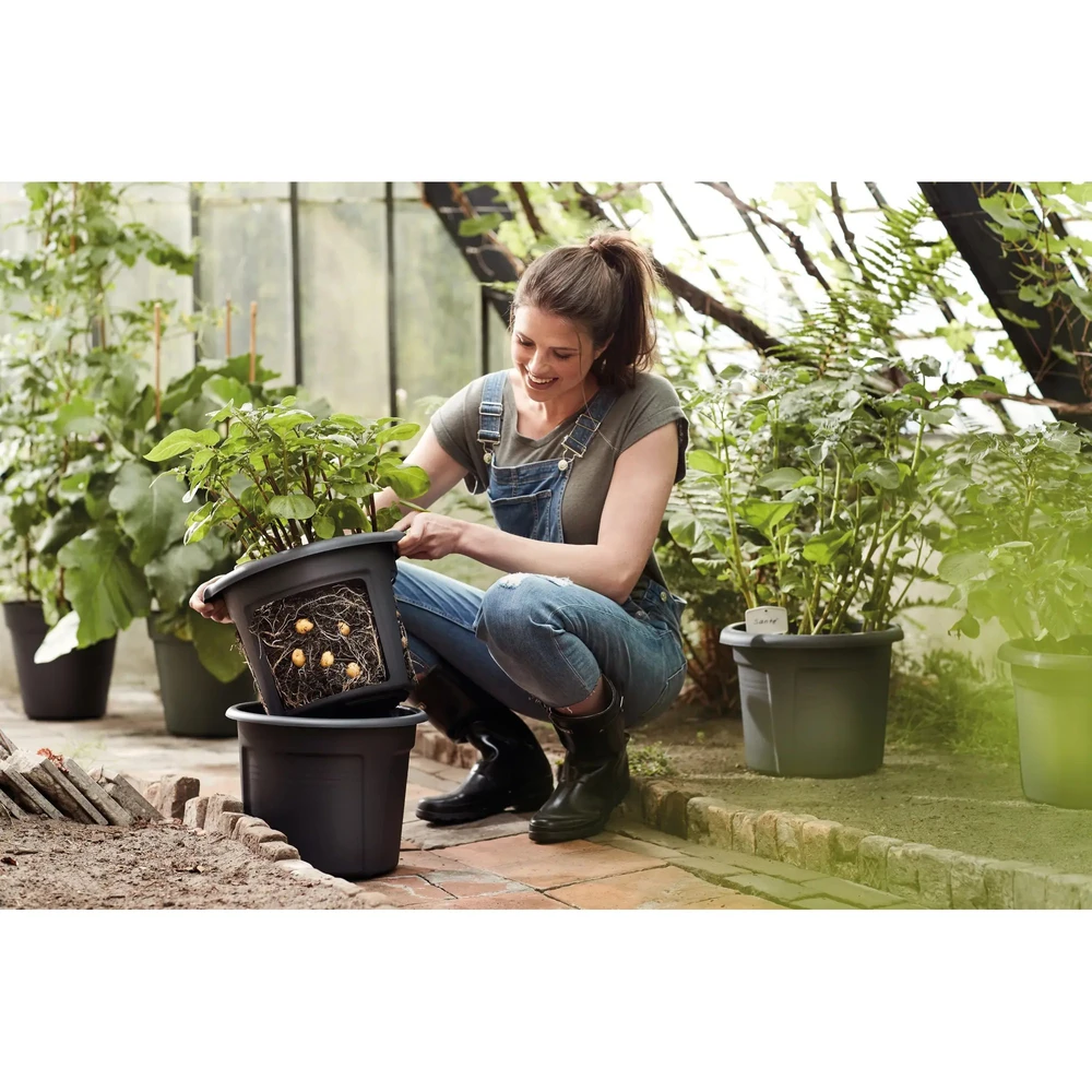 Green Basics Potato Pot 33 cm Black