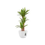 Pure Soft Round 30 cm White