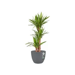 Pure Soft Round 30 cm Concrete Grey