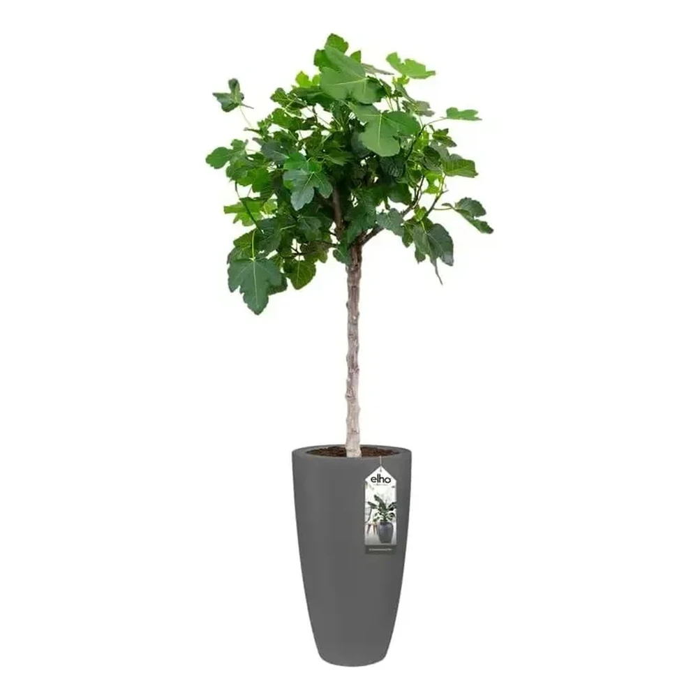 Pure Soft Round High 35 cm Anthracite