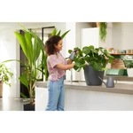 Regadera Brussels 1,8 lt Anthracite
