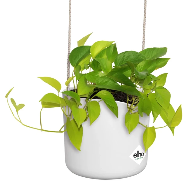 B.For Swing 18 cm White