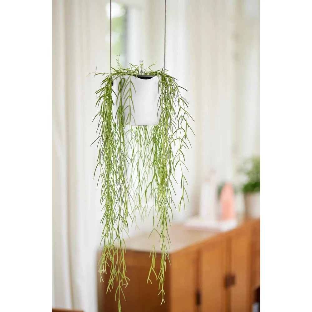 B.For Swing 18 cm White