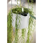 B.For Swing 18 cm White