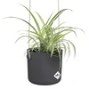 B.For Swing 18 cm Anthracite