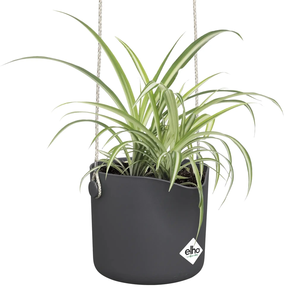 B.For Swing 18 cm Anthracite