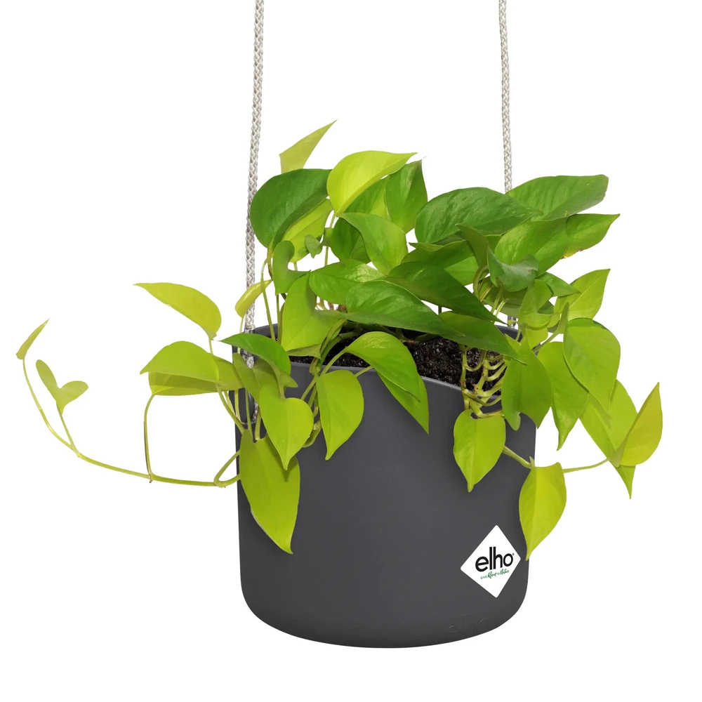 B.For Swing 18 cm Anthracite
