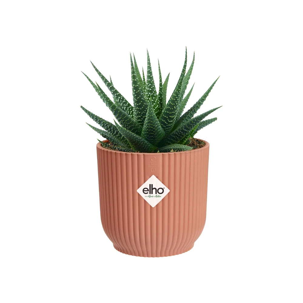 Vibes Fold Round Mini 11 cm Delicate Pink