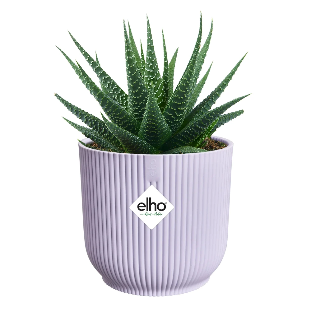 Vibes Fold Round Mini 11 cm Soft Lilac
