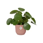 Maceta Vibes Fold Round 14 cm Delicate Pink