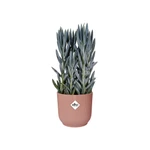 Maceta Vibes Fold Round 14 cm Delicate Pink