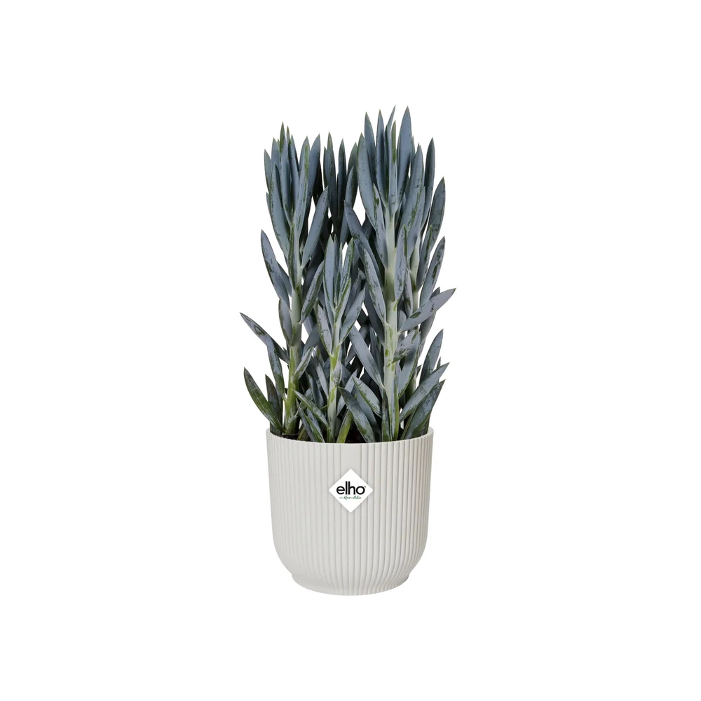 Maceta Vibes Fold Round 16 cm Silky White
