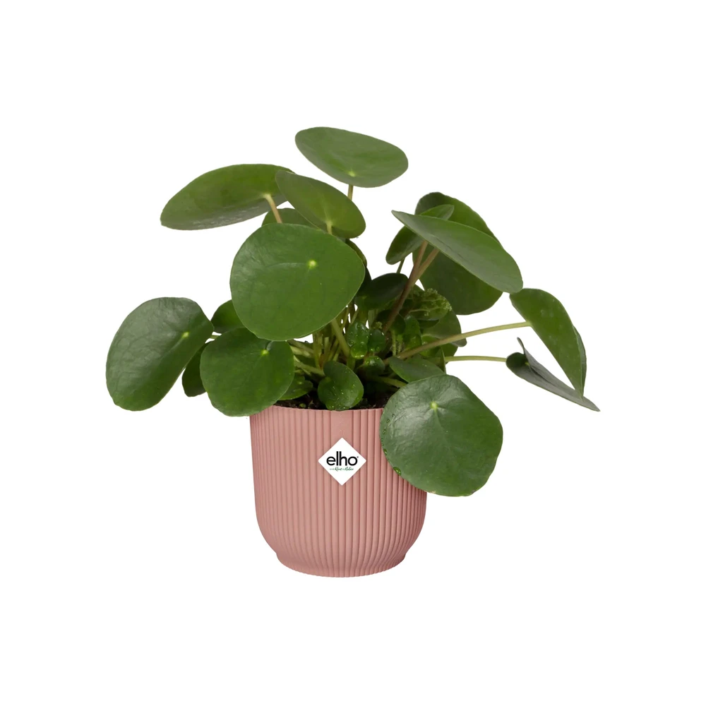 Maceta Vibes Fold Round 18 cm Delicate Pink