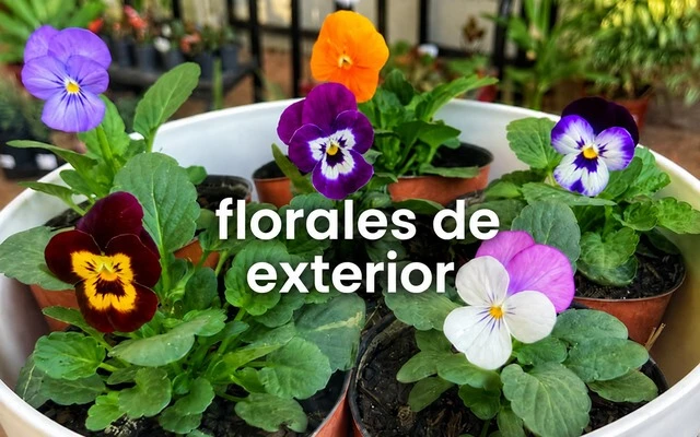Florales de Estación