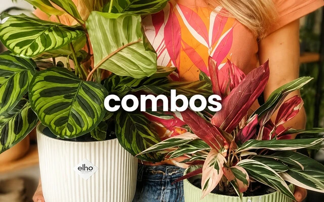 Combos